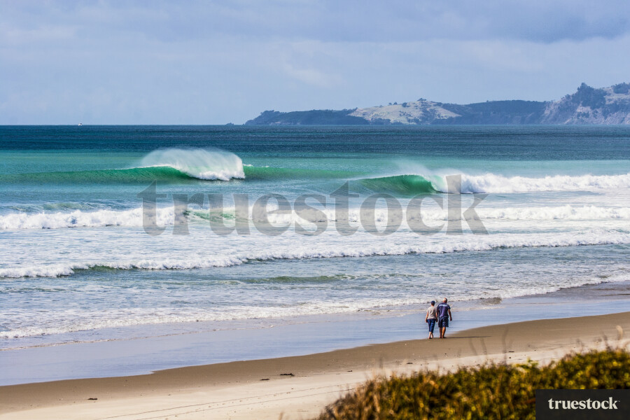 Summer Surf Forestry Beach