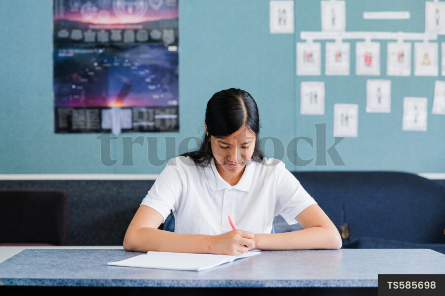 Girl at Desk