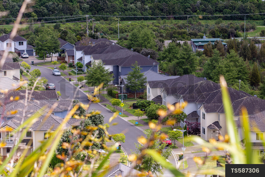 Tauranga Suburban Landscapes