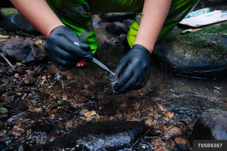 Two gloved hands conducting water testing at stream