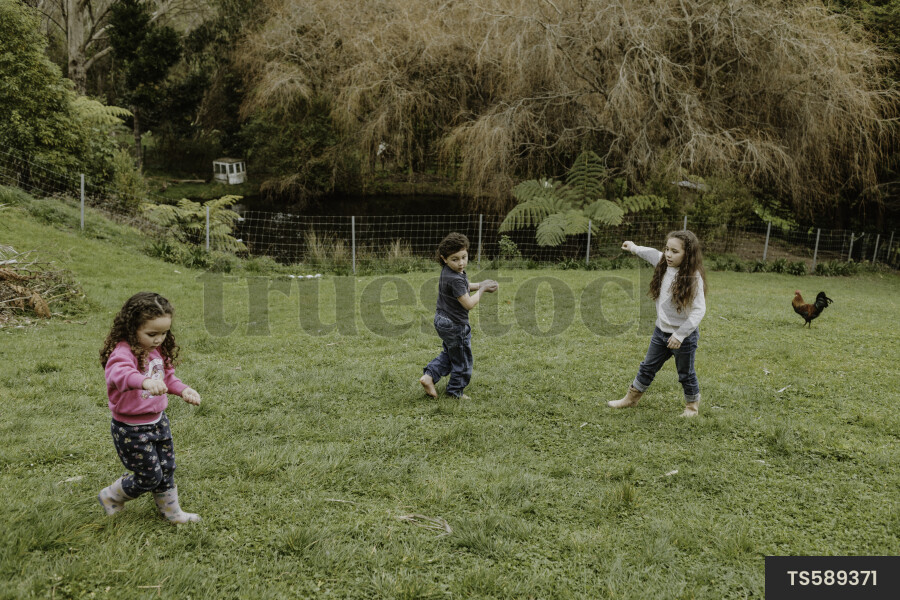 Young Kids Feeding Chickens
