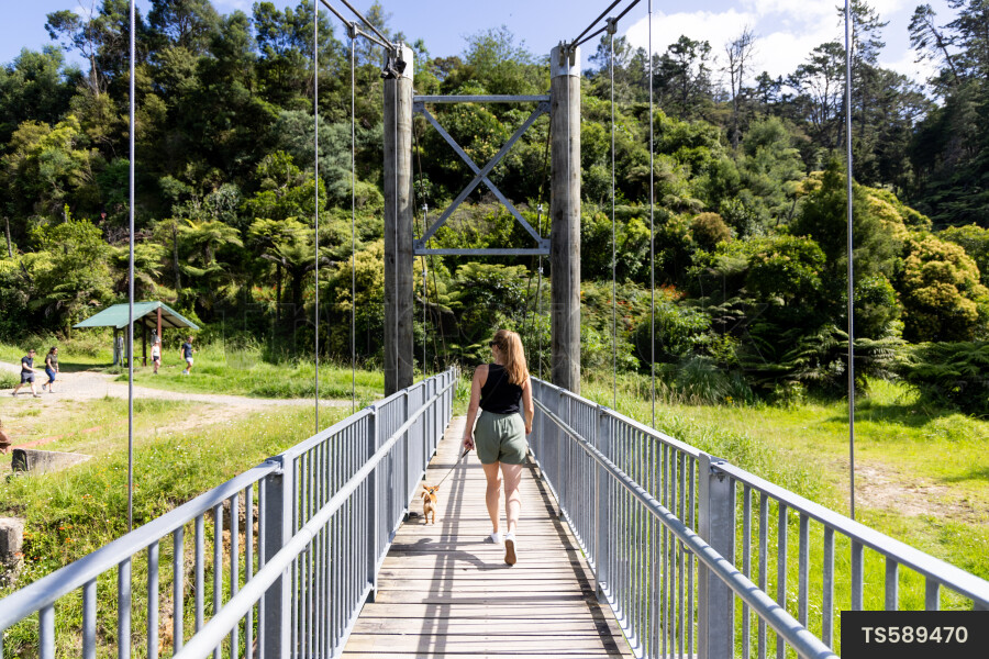 Woman walking dog on bridge