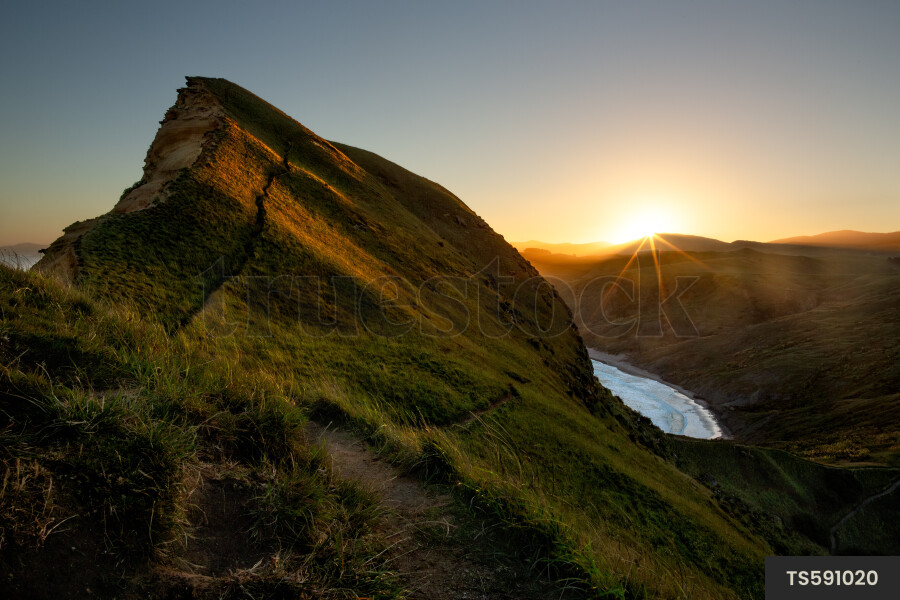 Castlepoint Landscape