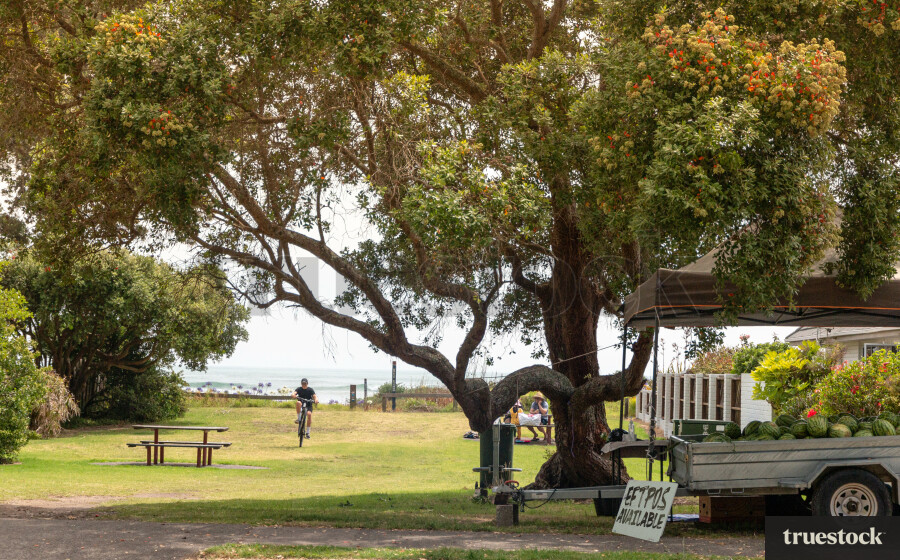 Roadside pop-up fruit shop selling watermelons