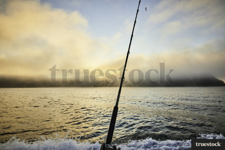 Morning Fishing, Bay of Islands