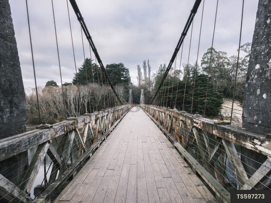 Clifden Suspension Bridge over Waiau River in Rowallan