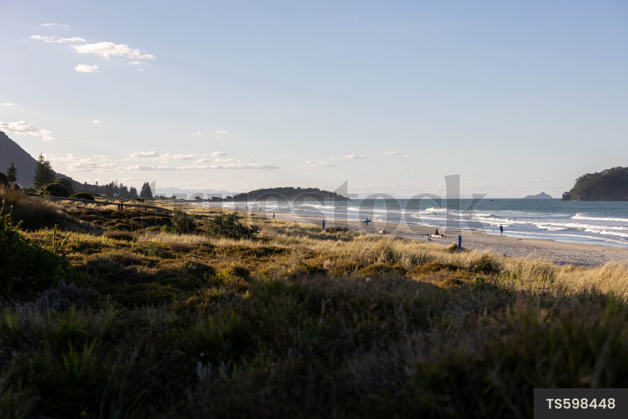 Scenic landscape of beach on coastline