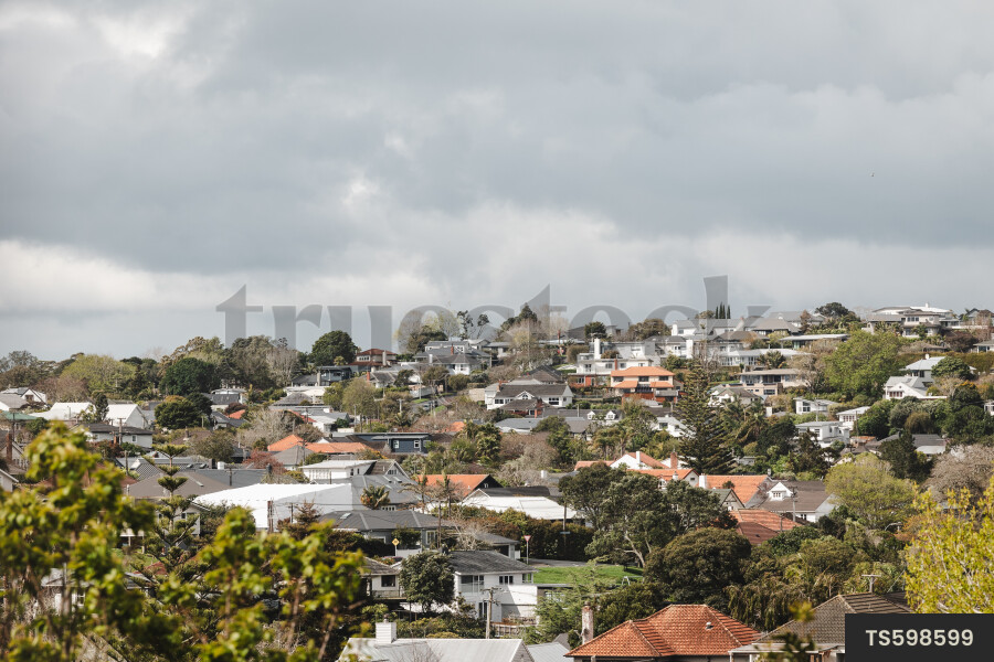 Homes in Remuera