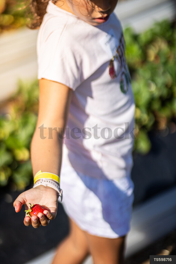 Girl holding strawberry