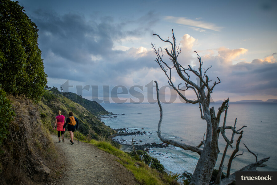 Hiking trail on the cliffside overlooking the beach at sunset