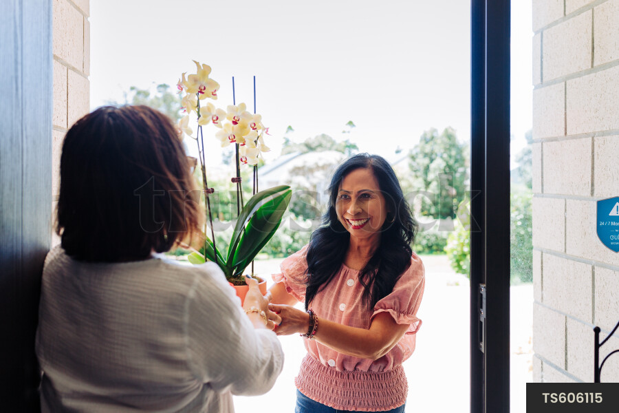 Women Greeting Each Other