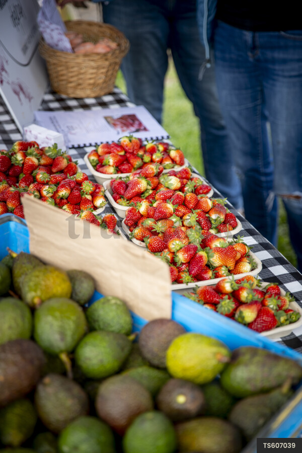 Organic strawberries and avocados for sale at market