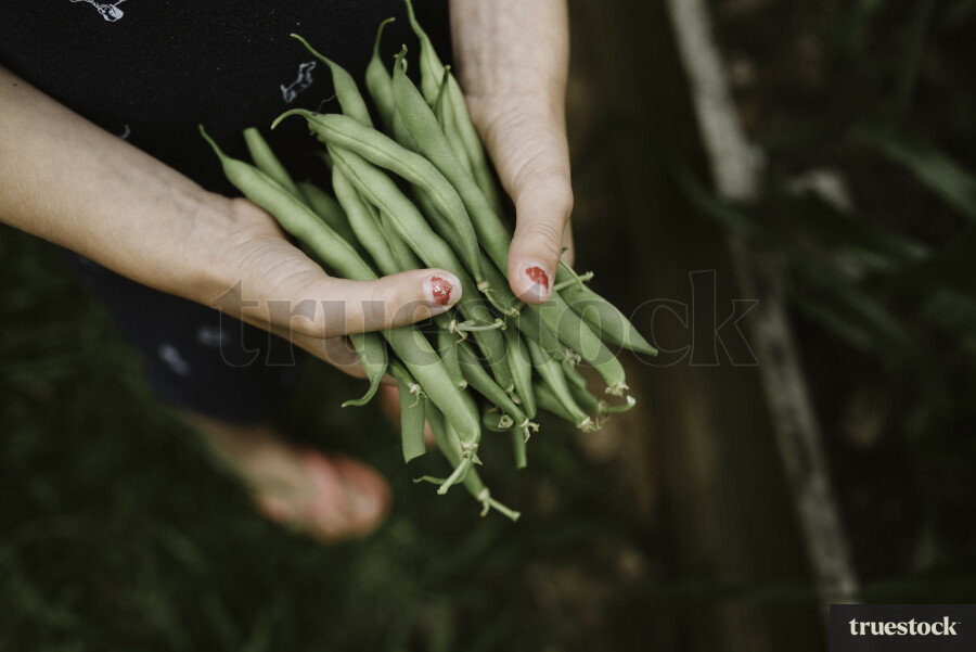 Girl Holding a Bunch of Green Beans