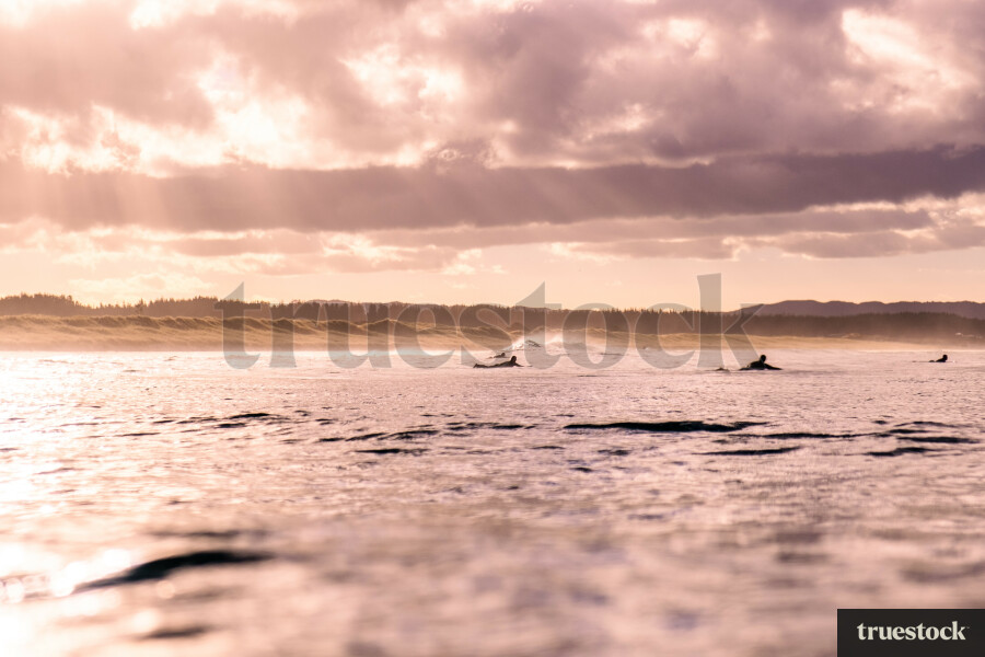 Surfers paddling