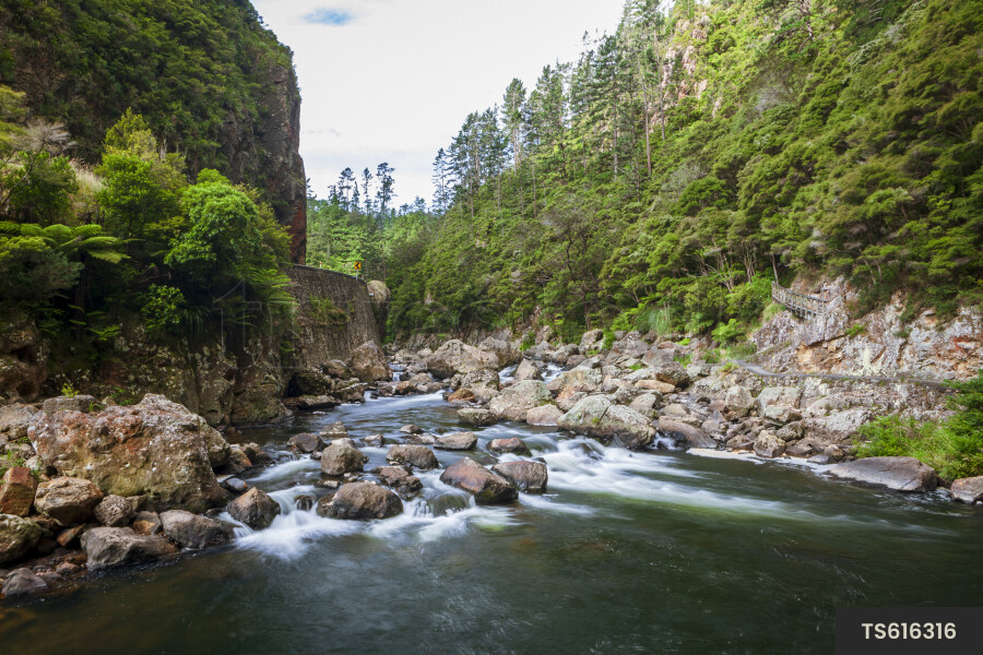 Rocks in river of Karangahake Gorge