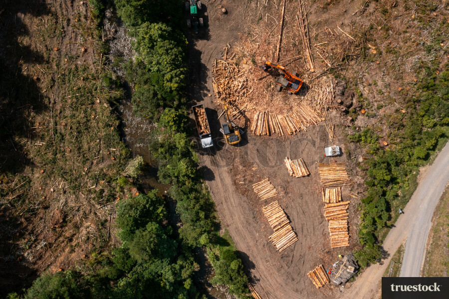 Birds Eye View of Forestry Industry