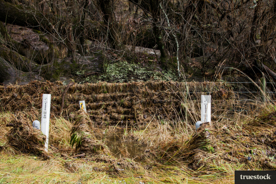 Flood damage and debris