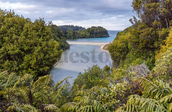 Stewart Island Coast