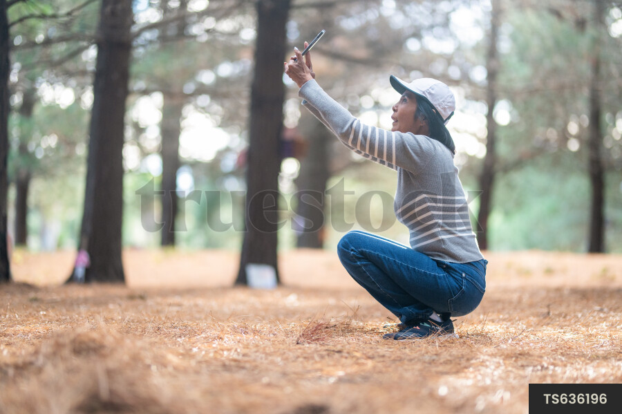 Asian woman using smart phone for photography in forest