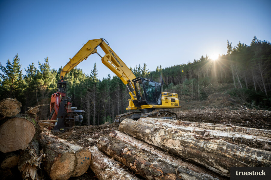 Forestry Machinery in Masterton