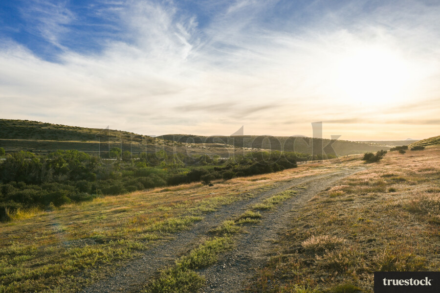 Dirt road in Tekapo
