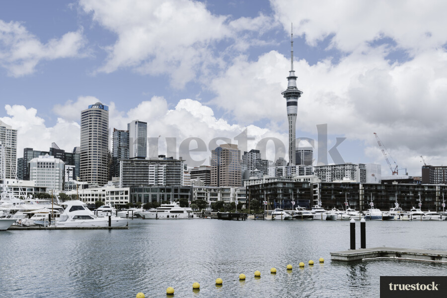 Auckland CBD Viaduct Skyline