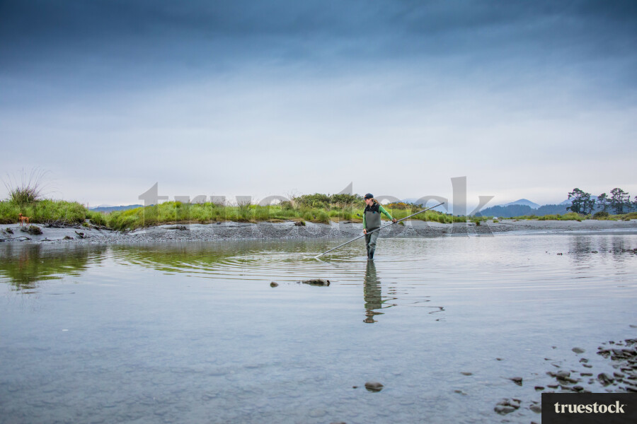 Whitebaiting on the West Coast