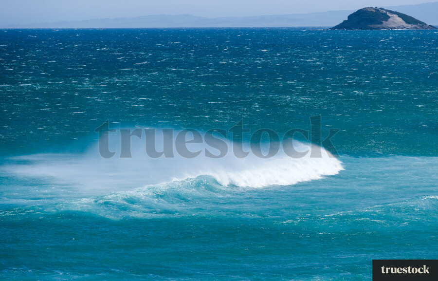 Waves in the ocean