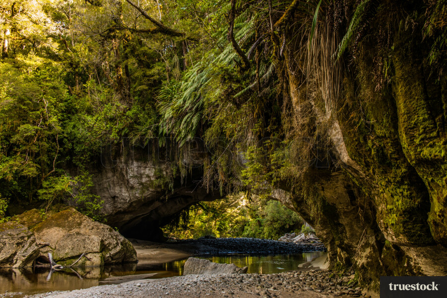 Oparara Basin Arches