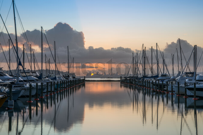 Boats in a marina