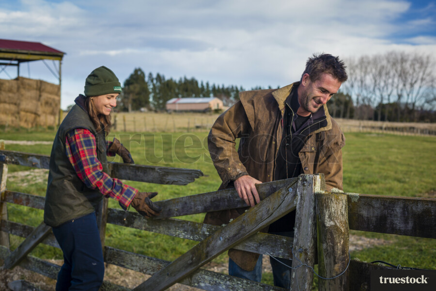 Farmers Fixing Gate