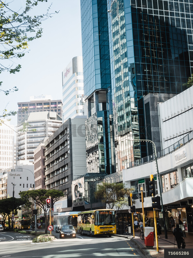 public-transport-in-wellington-by-danny-rood-truestock