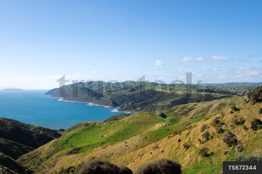 Makara West Wind Farm by sea in Wellington