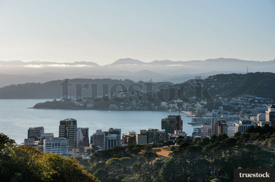 Aerial Wellington Harbour view