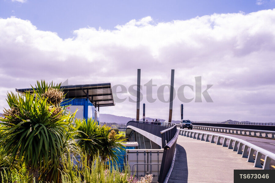 Bridge in Whangarei