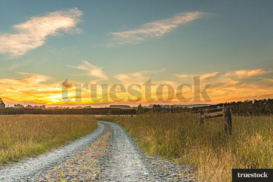 Fields near Loburn, Canterbury