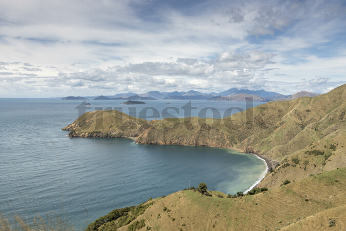 Coastal Landscape