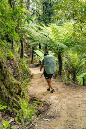 Woman on hiking track