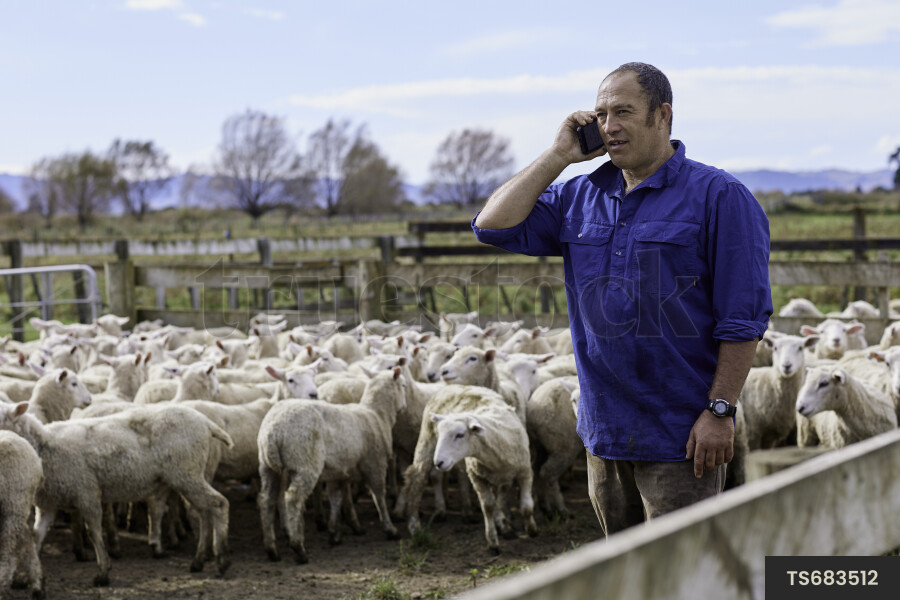 Farmer Using Phone at Farm