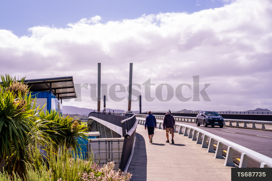 Bridge in Whangarei