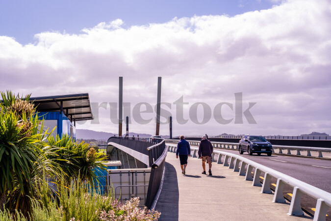 Bridge in Whangarei