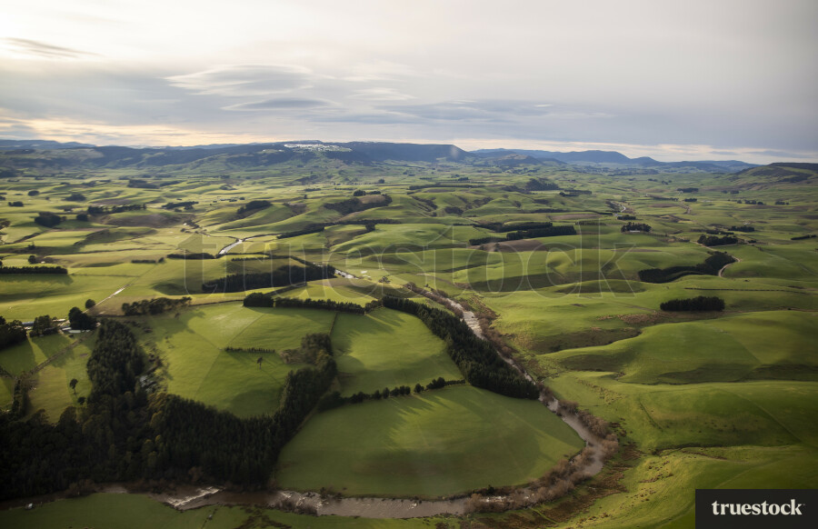 Farmland around Winton, Southland