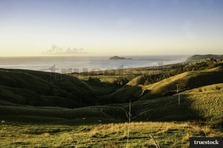 Rolling Hills Out To Ocean Beach