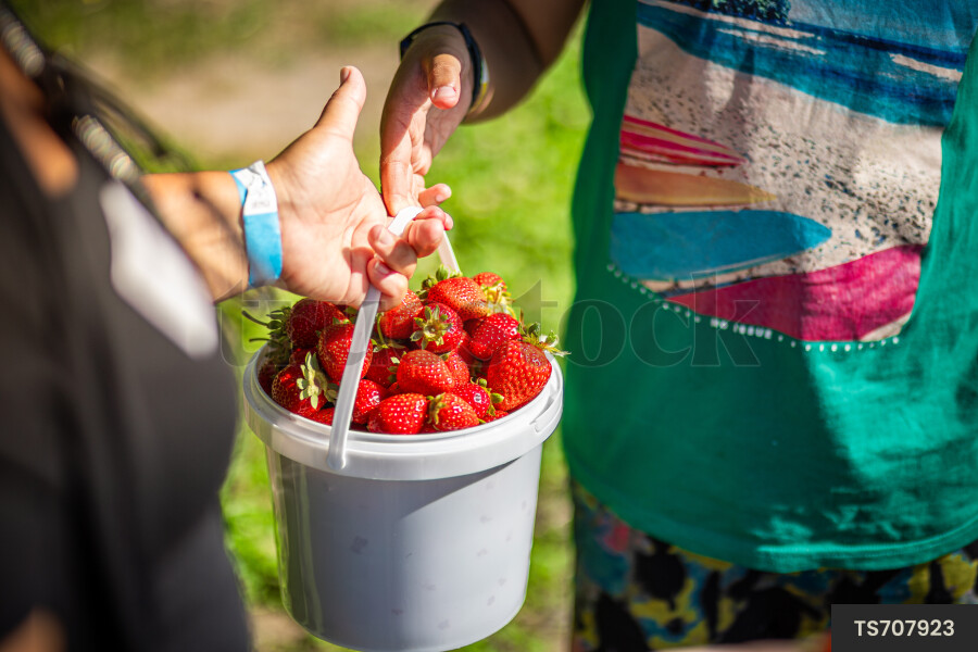 Woman and boy holding bucket of strawberries