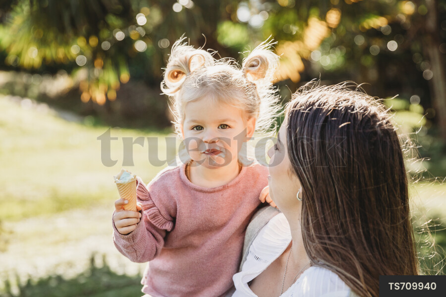 Family Picnic at Park