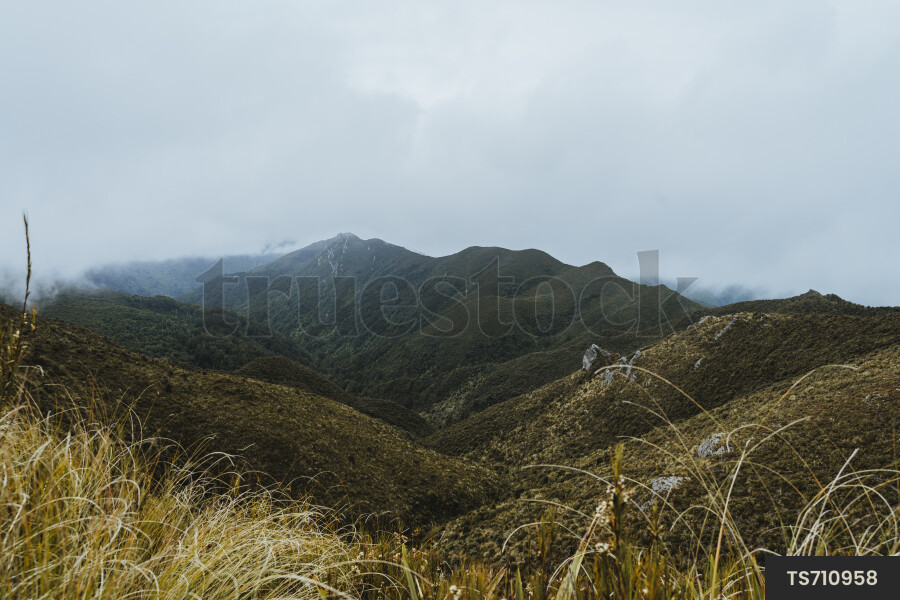 Silver Peaks Scenic Reserve