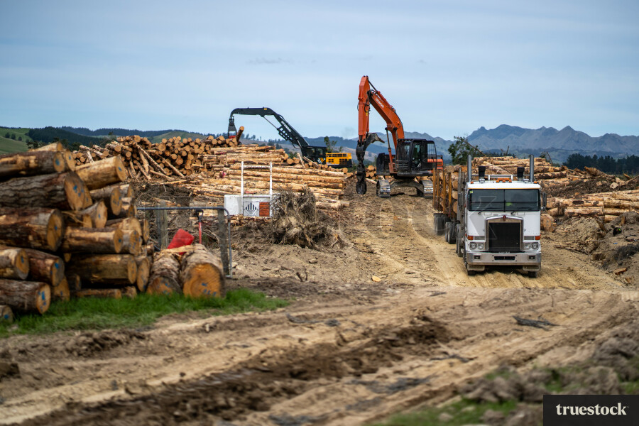 Loading Logs onto a Truck