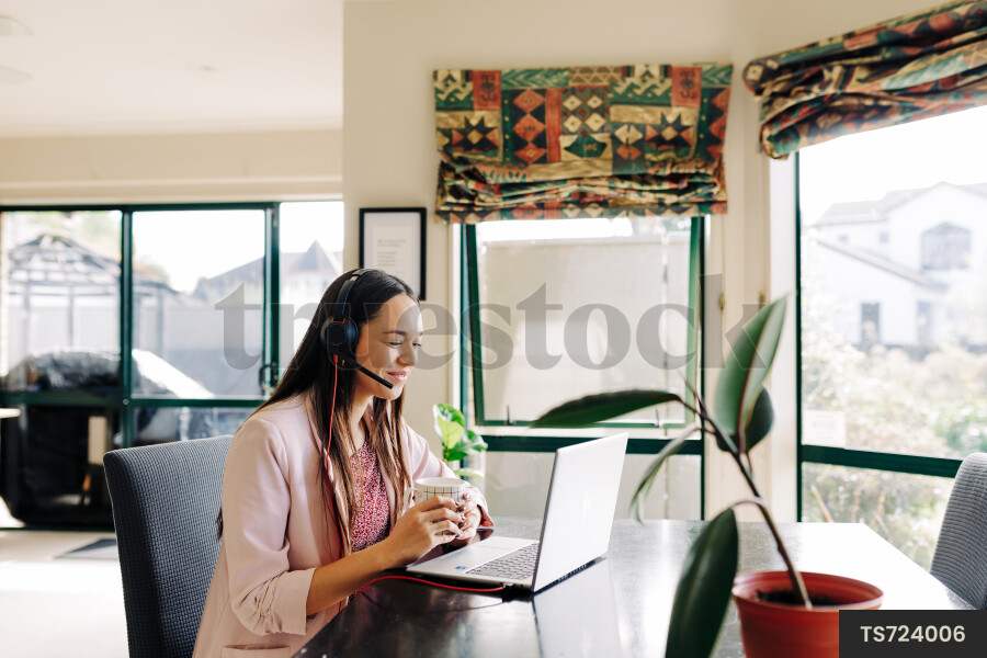 Businesswoman working from home