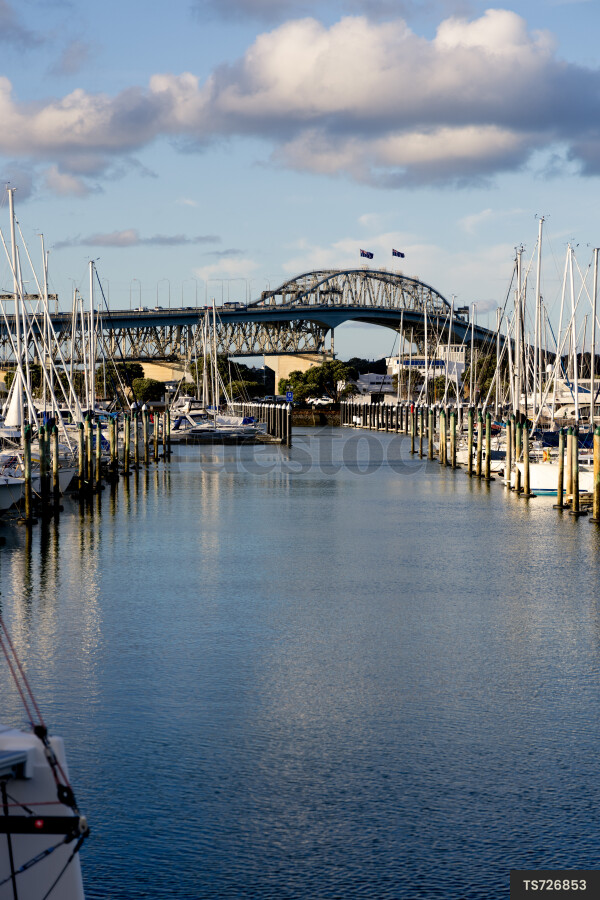 Marina and Harbour Bridge, Auckland