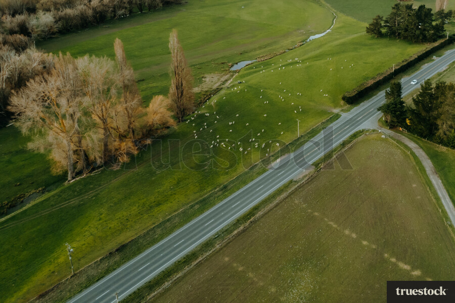 Highway Through Hurunui District by Liz Robson Truestock